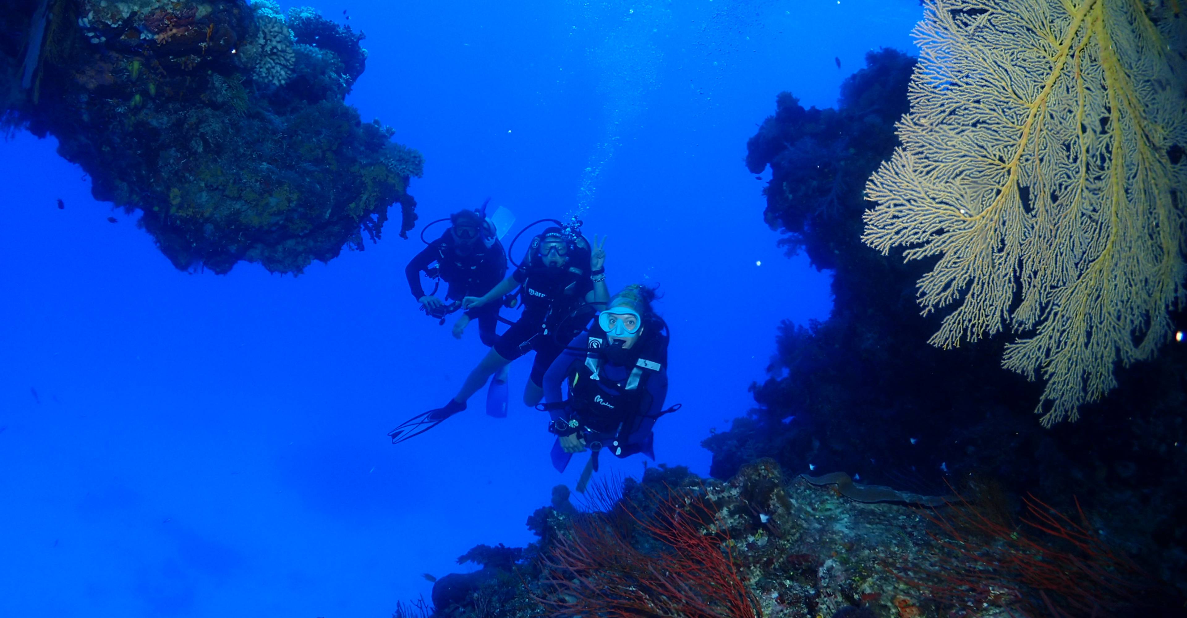 scuba diving Cairns