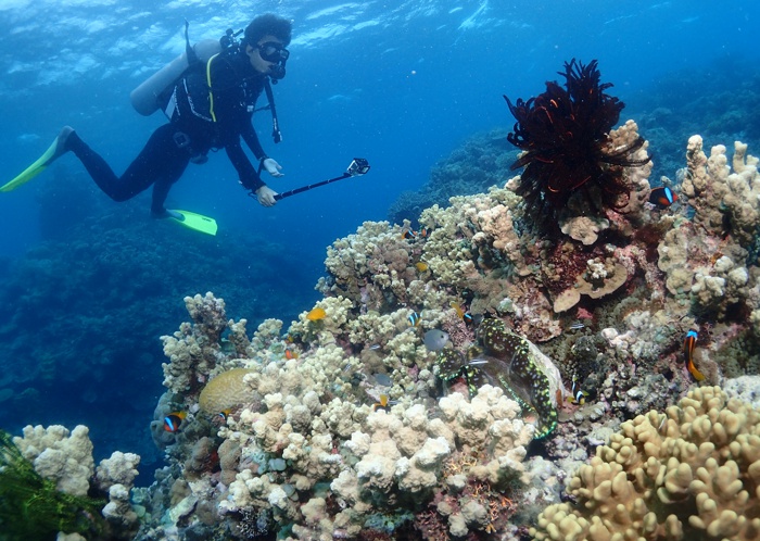 Cairns Reef Trips