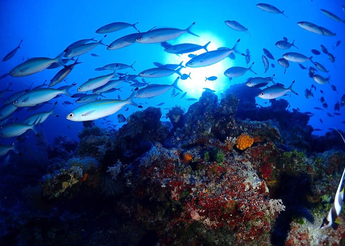 Cairns Stainless Steel Welding