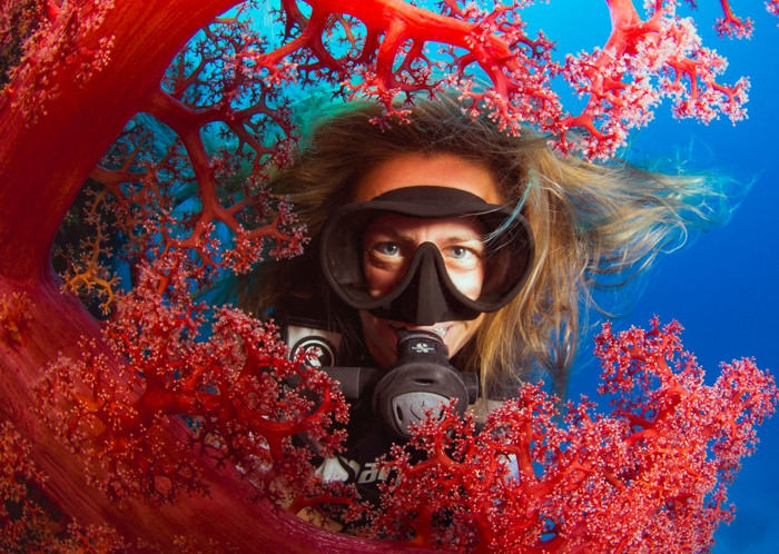 Cairns Custom Welding