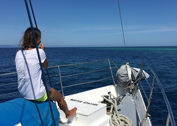 Reef Trips Cairns