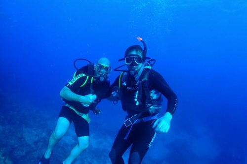 Cairns scuba diving